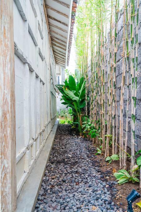 Soobali Mint 1br *